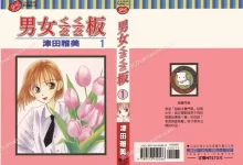 彼氏彼女的故事.全21卷.mobi.完结.少女.少年.日本.校园.津田雅美.青春