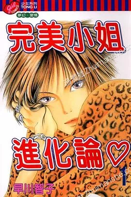 完美小姐进化论.全33卷+147话的图片(1)