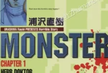 怪物/MONSTER.全18卷.mobi.pdf.完结.恐怖.悬疑.惊悚.推理.日本