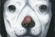 革命战士.犬童贞男.全2卷.mobi.pdf.完结.悬疑.日本.魔幻