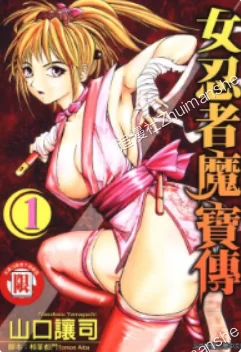 女忍者魔宝传.全6卷的图片(1)