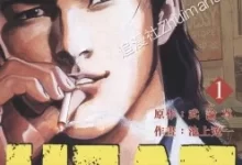 HEAT怒火街头.全17卷.mobi.pdf.完结.日本.格斗.青年.黑道
