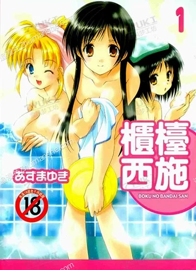 柜台西施.全4卷.完结的图片(1)