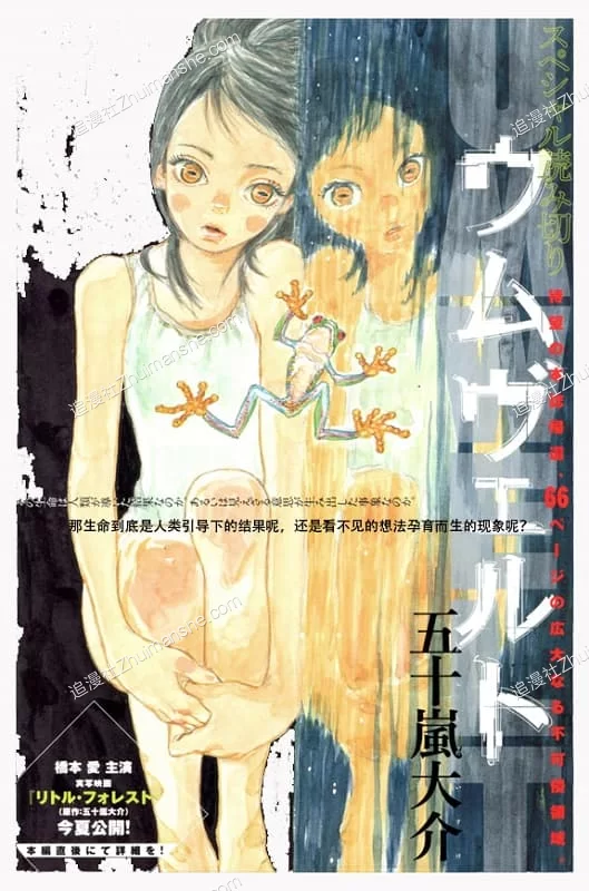 环境/Umwelt.全1卷.完结的图片(1)