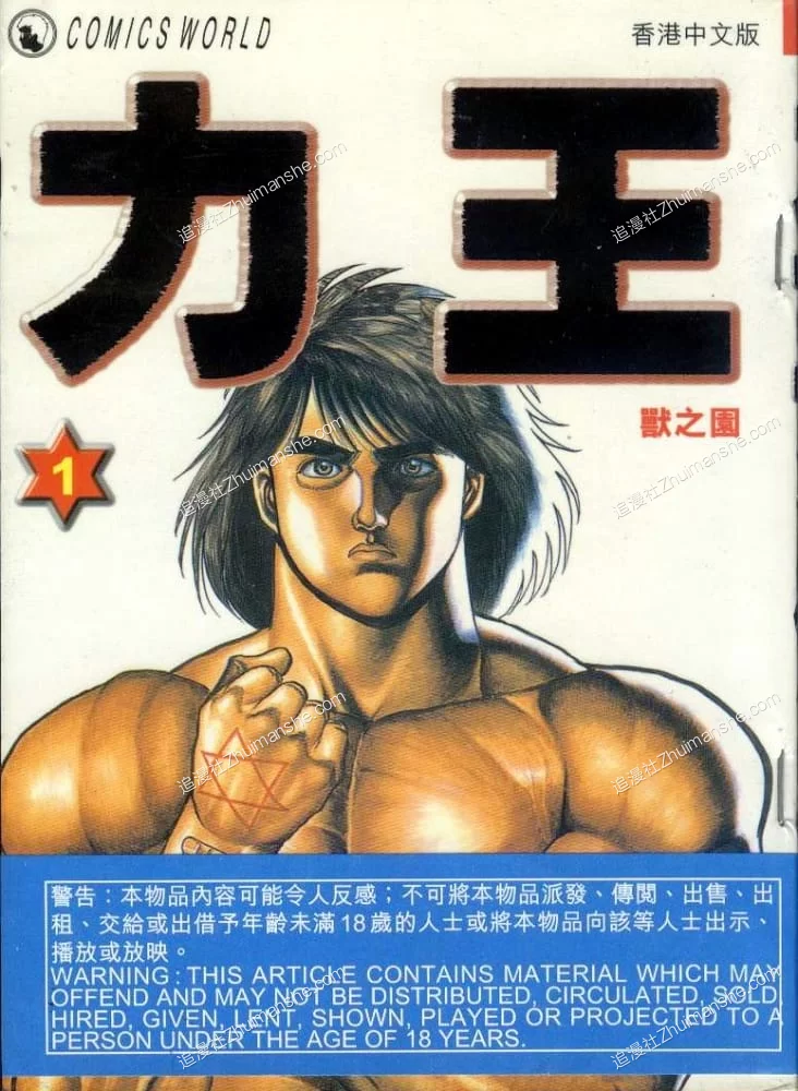 力王.全9卷.完结的图片(1)